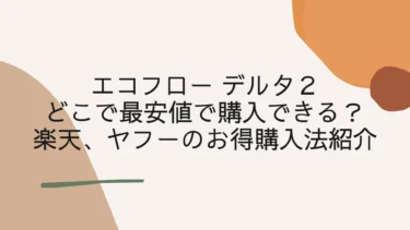 【更新】エコフロー デルタ２の最安値はビックカメラ！口コミと楽天、ヤフーのお得購入法